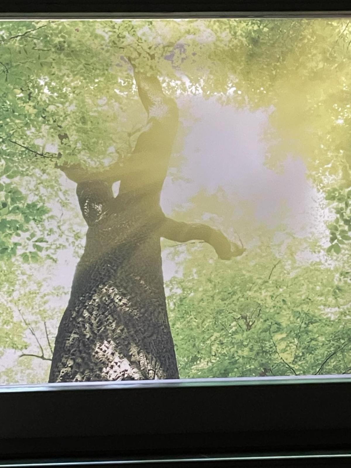 パッサウZumglueckfreiアパートメント エクステリア 写真